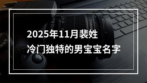 2025年11月裴姓冷门独特的男宝宝名字