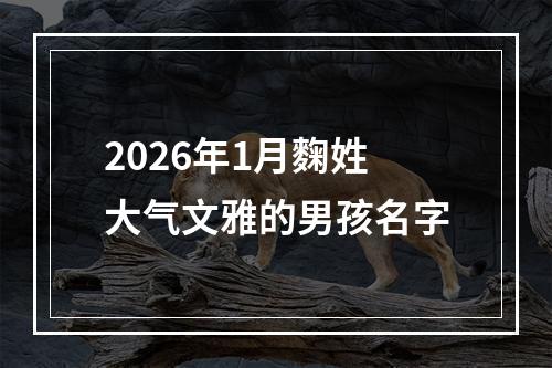 2026年1月麴姓大气文雅的男孩名字