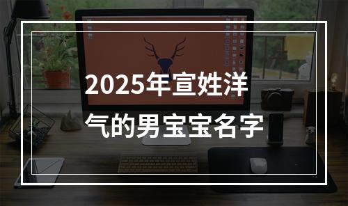 2025年宣姓洋气的男宝宝名字