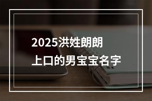 2025洪姓朗朗上口的男宝宝名字