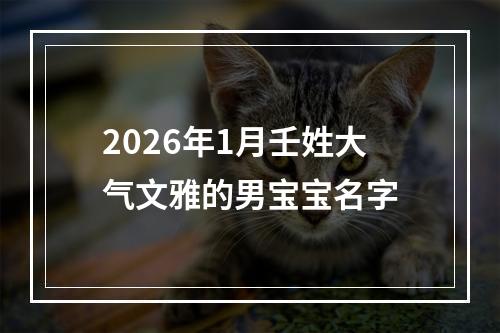 2026年1月壬姓大气文雅的男宝宝名字
