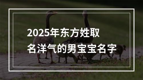 2025年东方姓取名洋气的男宝宝名字