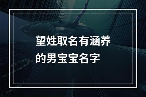 望姓取名有涵养的男宝宝名字