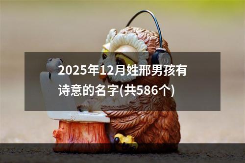 2025年12月姓邢男孩有诗意的名字(共586个)