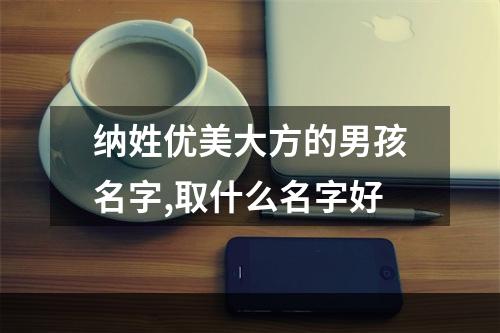 纳姓优美大方的男孩名字,取什么名字好