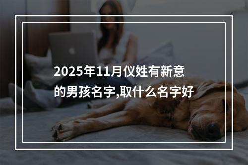 2025年11月仪姓有新意的男孩名字,取什么名字好