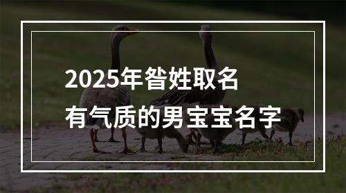 2025年昝姓取名有气质的男宝宝名字