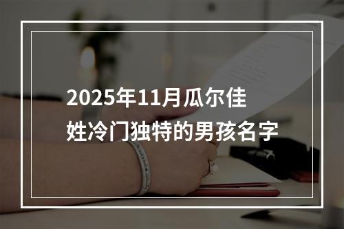 2025年11月瓜尔佳姓冷门独特的男孩名字