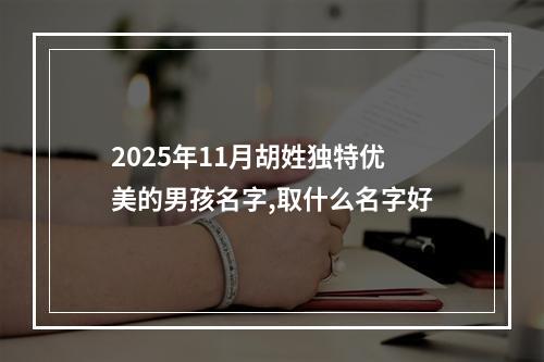 2025年11月胡姓独特优美的男孩名字,取什么名字好