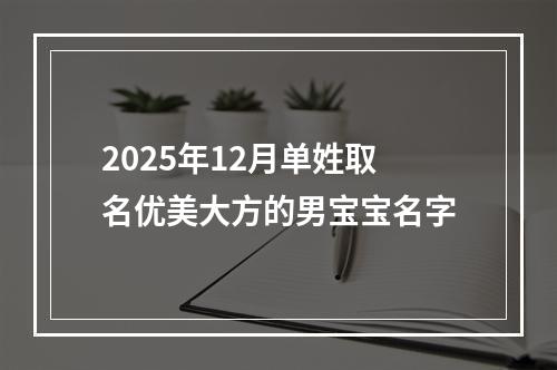 2025年12月单姓取名优美大方的男宝宝名字