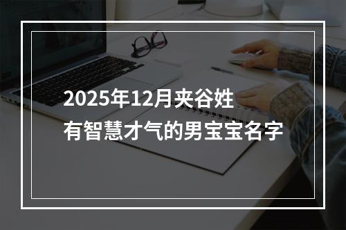 2025年12月夹谷姓有智慧才气的男宝宝名字