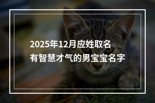 2025年12月应姓取名有智慧才气的男宝宝名字