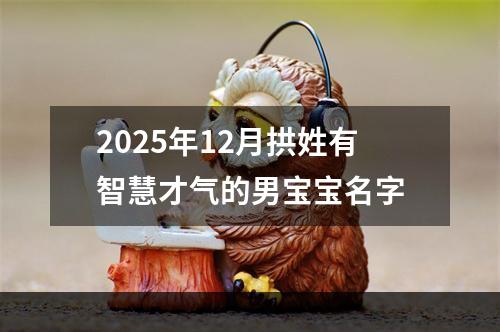 2025年12月拱姓有智慧才气的男宝宝名字