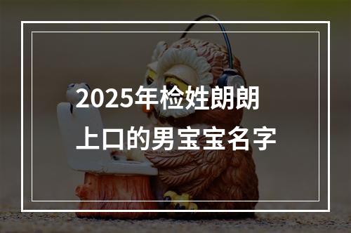 2025年检姓朗朗上口的男宝宝名字