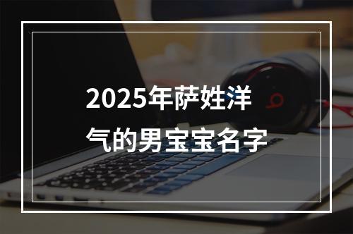 2025年萨姓洋气的男宝宝名字