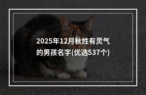 2025年12月秋姓有灵气的男孩名字(优选537个)
