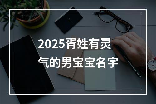 2025胥姓有灵气的男宝宝名字
