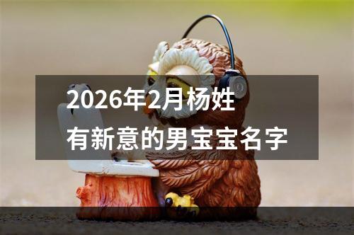 2026年2月杨姓有新意的男宝宝名字