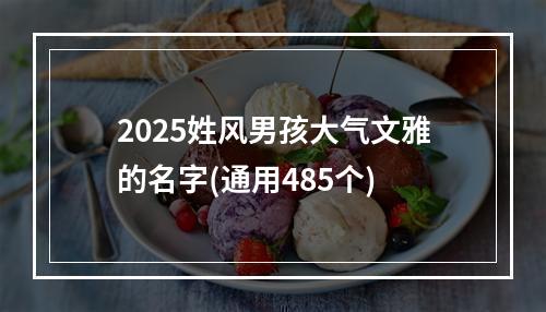2025姓风男孩大气文雅的名字(通用485个)