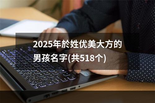 2025年於姓优美大方的男孩名字(共518个)