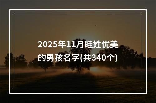 2025年11月眭姓优美的男孩名字(共340个)