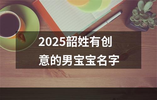2025韶姓有创意的男宝宝名字