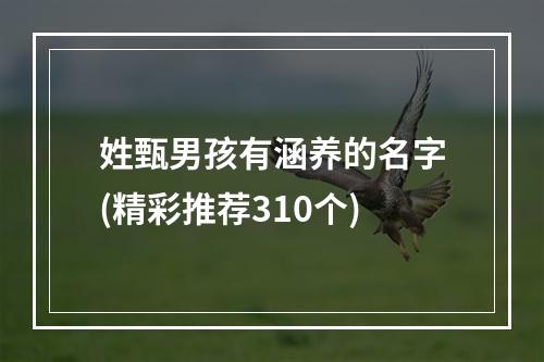 姓甄男孩有涵养的名字(精彩推荐310个)