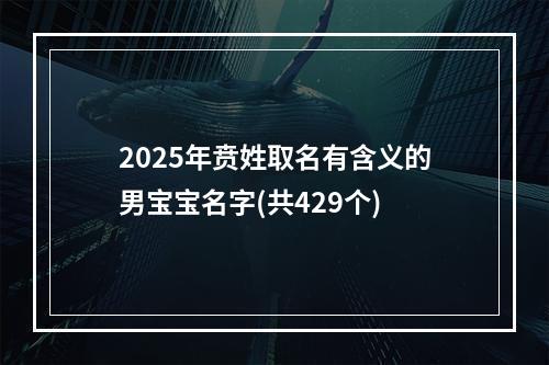 2025年贲姓取名有含义的男宝宝名字(共429个)