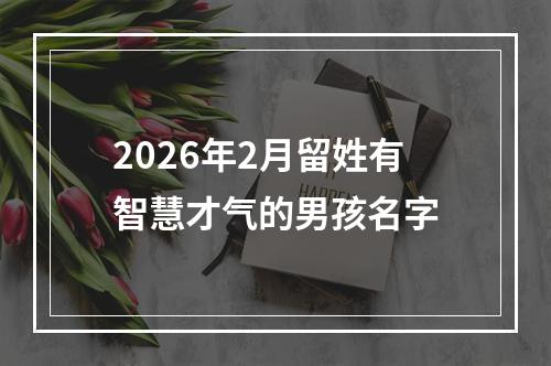 2026年2月留姓有智慧才气的男孩名字