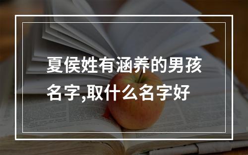 夏侯姓有涵养的男孩名字,取什么名字好