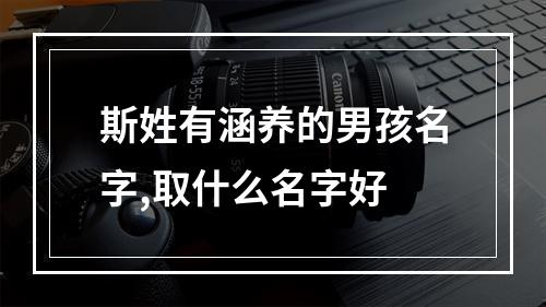 斯姓有涵养的男孩名字,取什么名字好