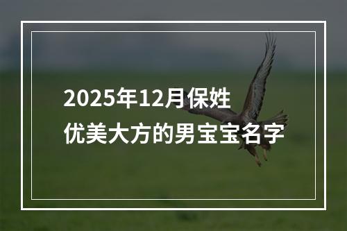 2025年12月保姓优美大方的男宝宝名字