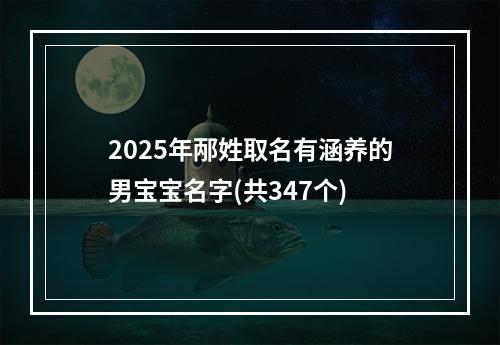 2025年邴姓取名有涵养的男宝宝名字(共347个)