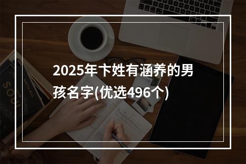2025年卞姓有涵养的男孩名字(优选496个)