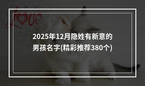 2025年12月隐姓有新意的男孩名字(精彩推荐380个)