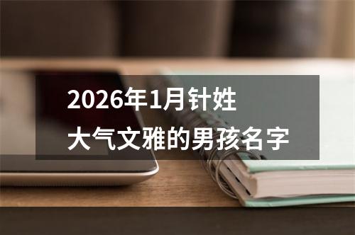 2026年1月针姓大气文雅的男孩名字