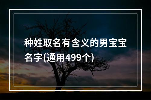 种姓取名有含义的男宝宝名字(通用499个)