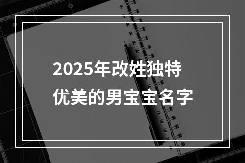 2025年改姓独特优美的男宝宝名字