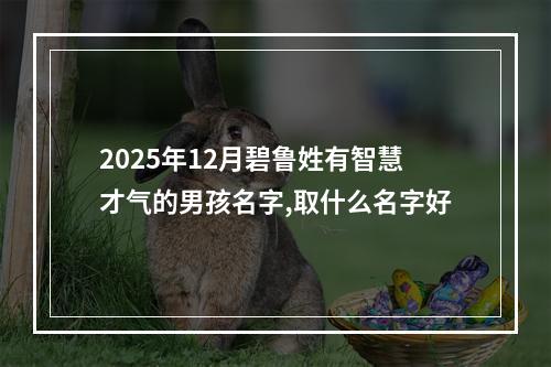 2025年12月碧鲁姓有智慧才气的男孩名字,取什么名字好