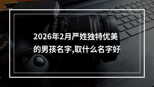 2026年2月严姓独特优美的男孩名字,取什么名字好