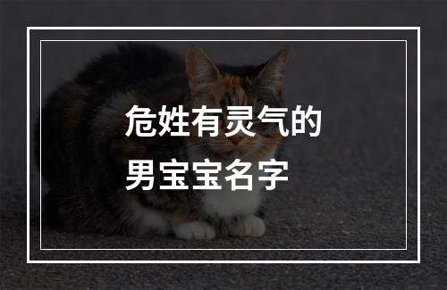 危姓有灵气的男宝宝名字