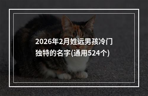 2026年2月姓远男孩冷门独特的名字(通用524个)