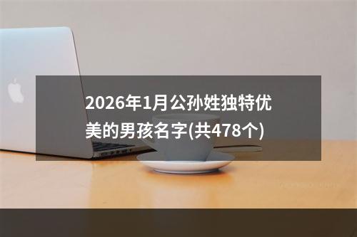 2026年1月公孙姓独特优美的男孩名字(共478个)