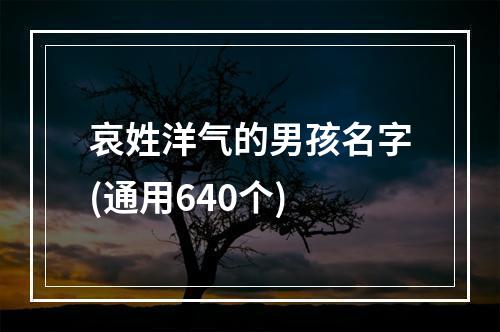 哀姓洋气的男孩名字(通用640个)