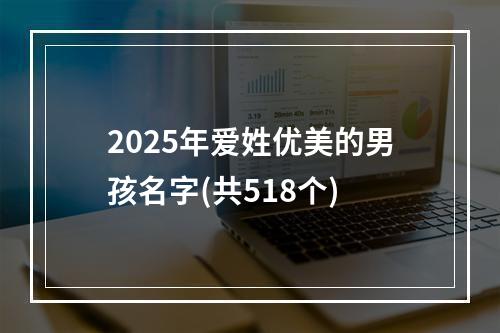 2025年爱姓优美的男孩名字(共518个)