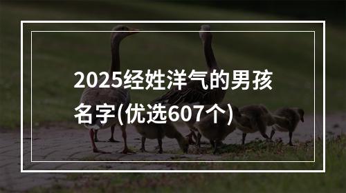 2025经姓洋气的男孩名字(优选607个)