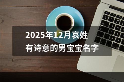 2025年12月哀姓有诗意的男宝宝名字