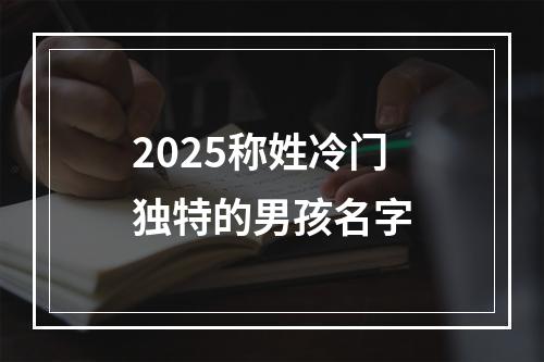2025称姓冷门独特的男孩名字