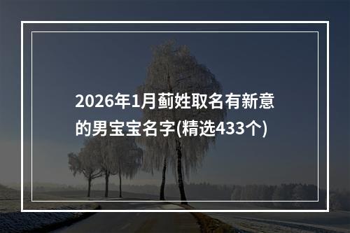 2026年1月蓟姓取名有新意的男宝宝名字(精选433个)