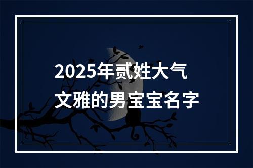 2025年贰姓大气文雅的男宝宝名字